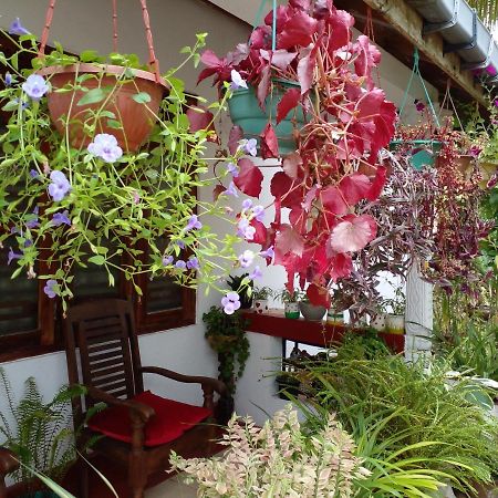 Gem Villa Уелигама Екстериор снимка